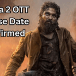 Pushpa 2 OTT Release Date Confirmed – Hindi Viewers Disappointed