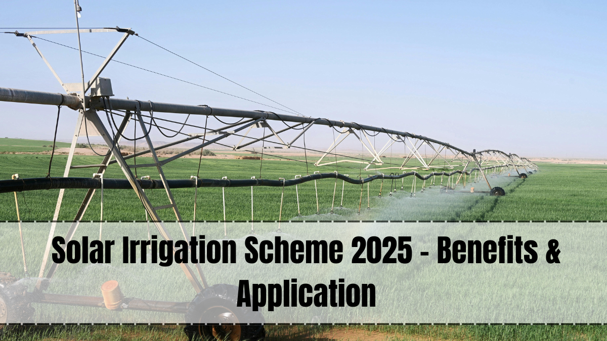 Solar Irrigation Scheme 2025 – Affordable & Sustainable Water Solutions for Farmers
