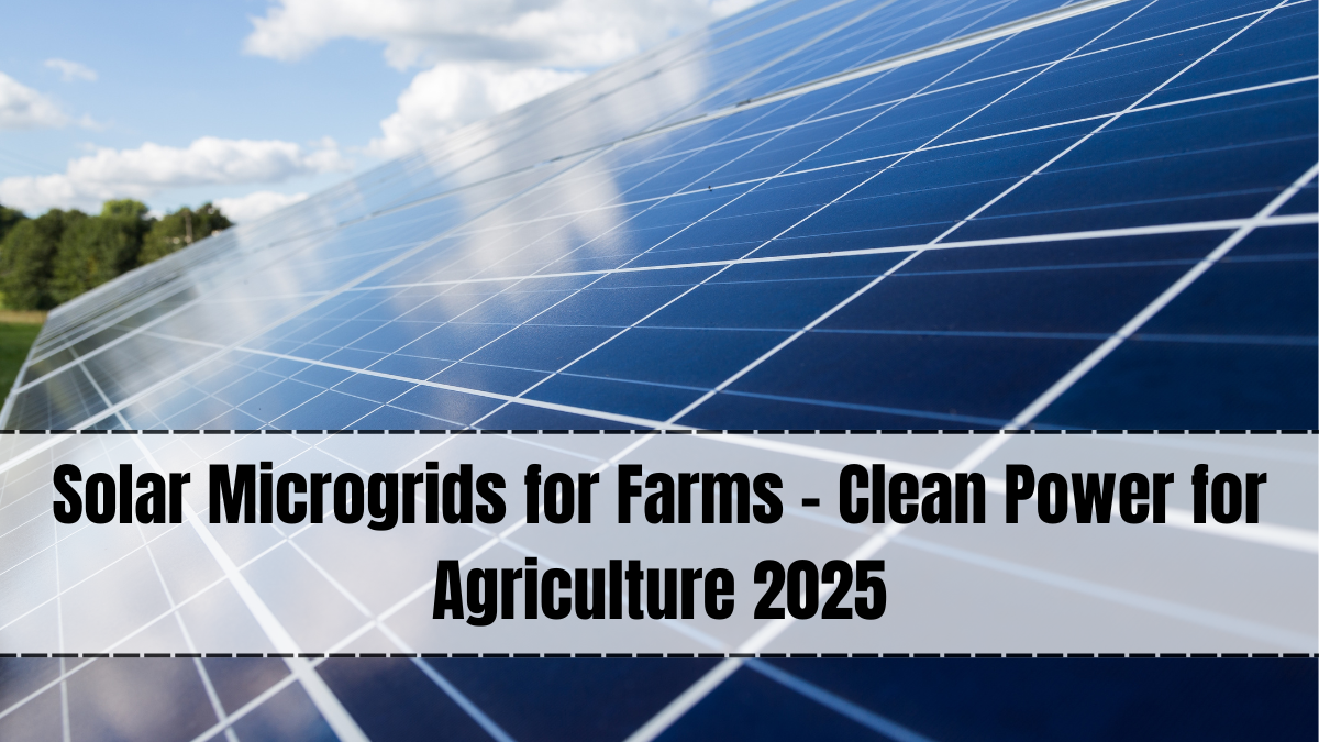 Solar Microgrids for Farms – Clean Power for Agriculture 2025